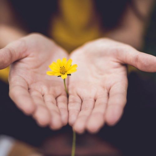 hand giving yellow flower min