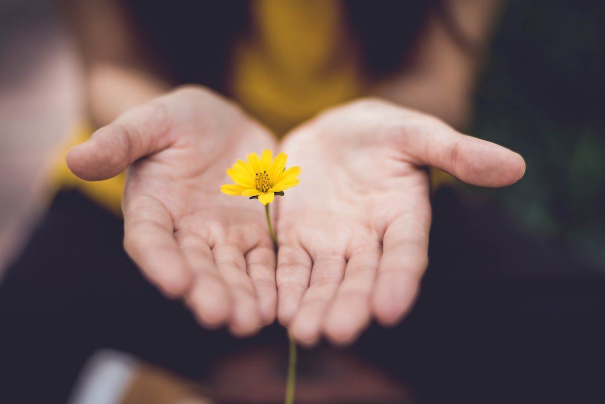 hand giving yellow flower min