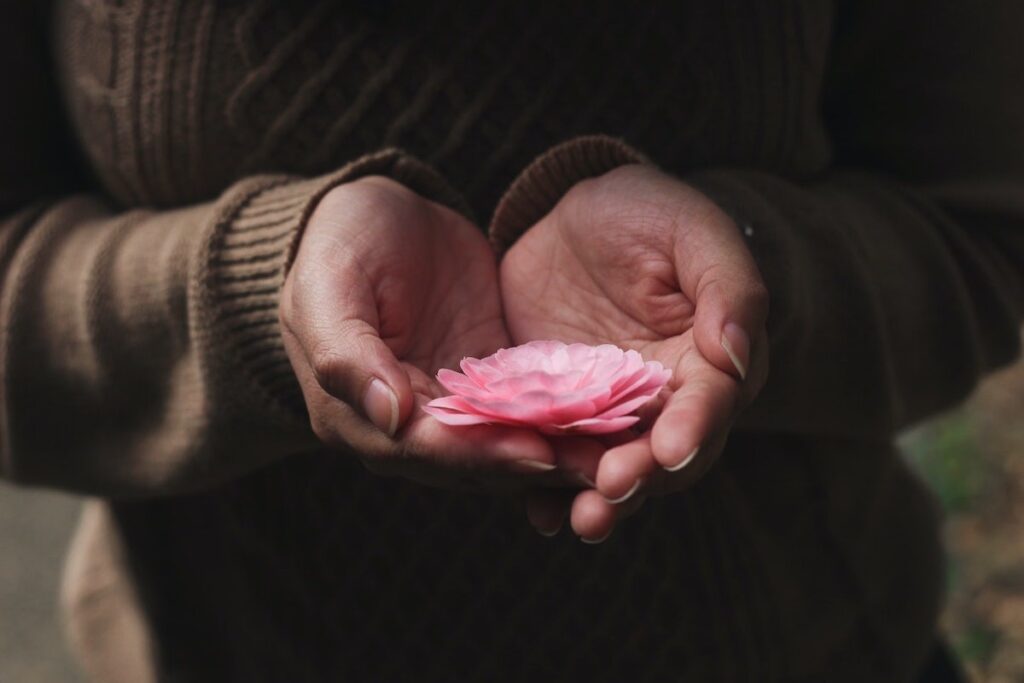 hands giving pink flower