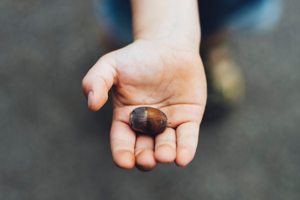 markus spiske 1067555 unsplash